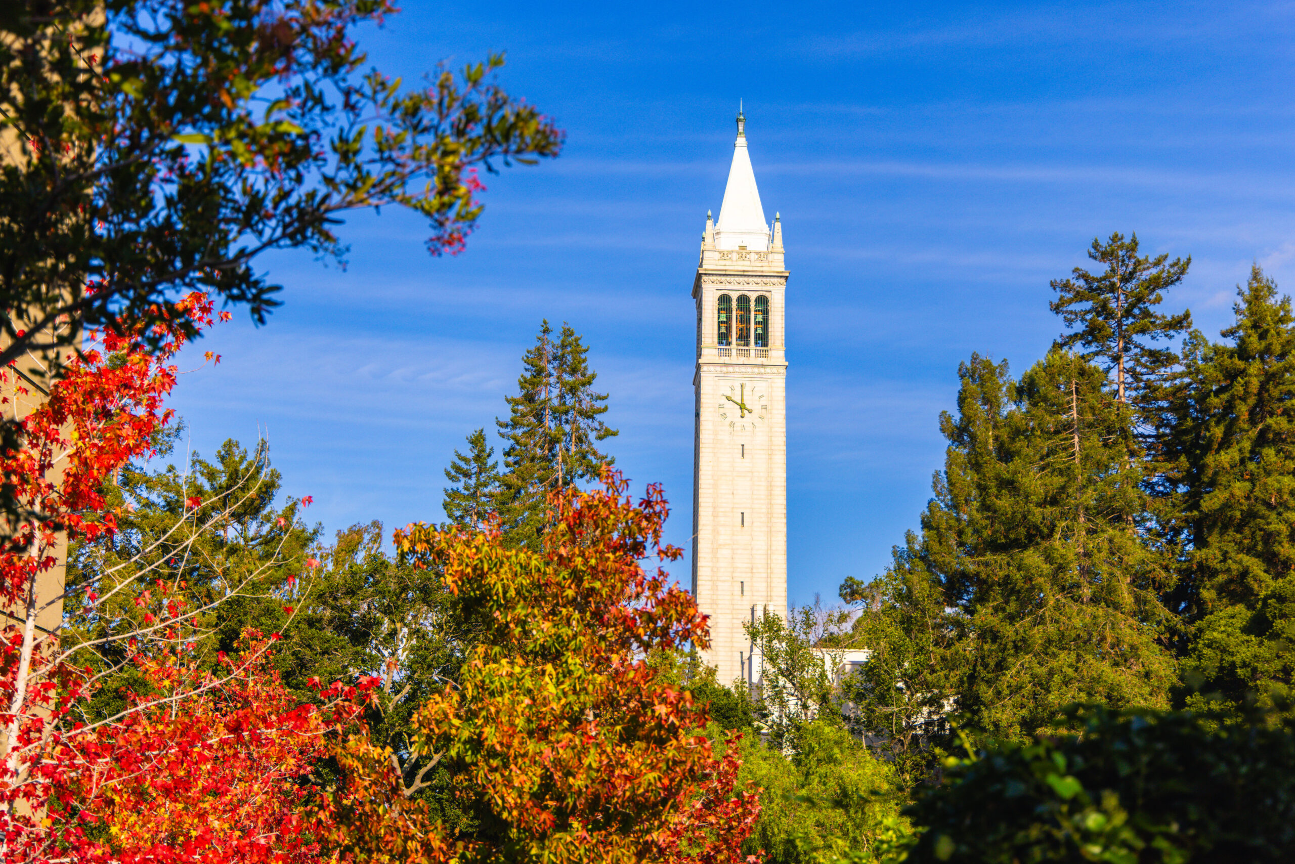 uc berkeley computer science phd application